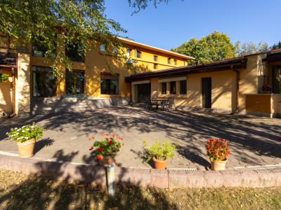 Proprietate Unică în Frumușani – Spațiu, Eleganță și Potențial 