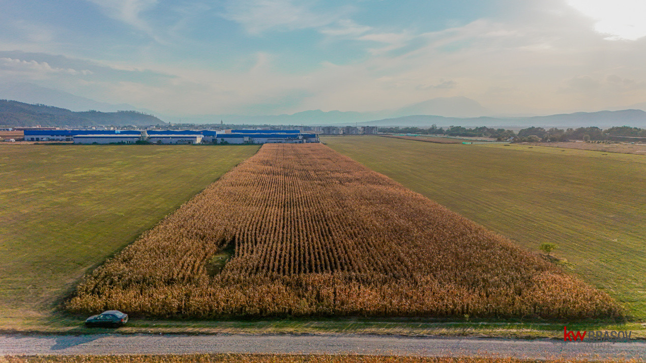 Teren industrial 6100 mp. cu PUZ in Cristian BV