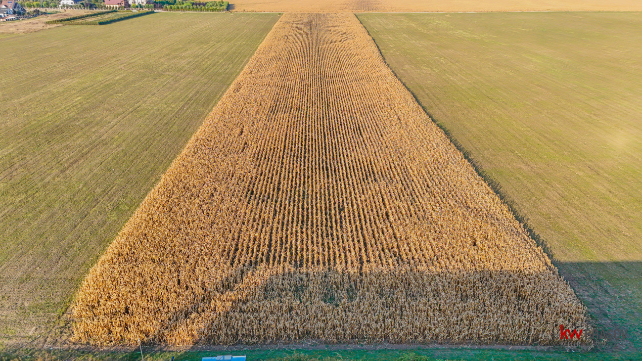 Teren industrial 6100 mp. cu PUZ in Cristian BV