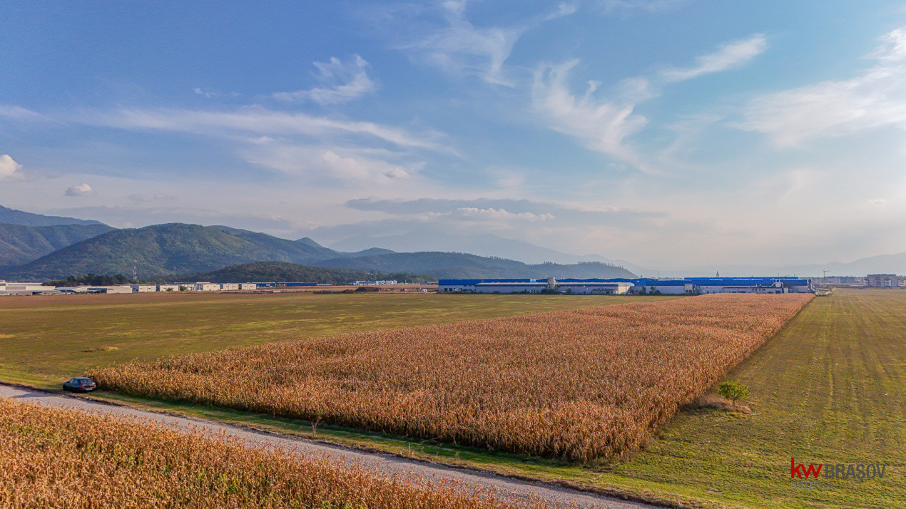 Teren industrial 6100 mp. cu PUZ in Cristian BV