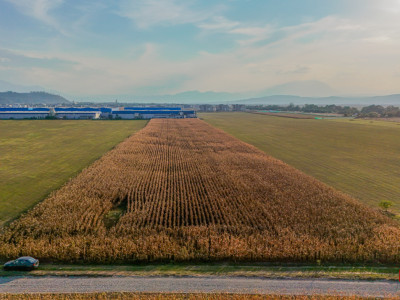 Teren industrial 6100 mp. cu PUZ in Cristian BV