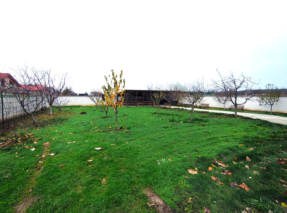 Casă mare, costuri mici – rar în zona Ford!