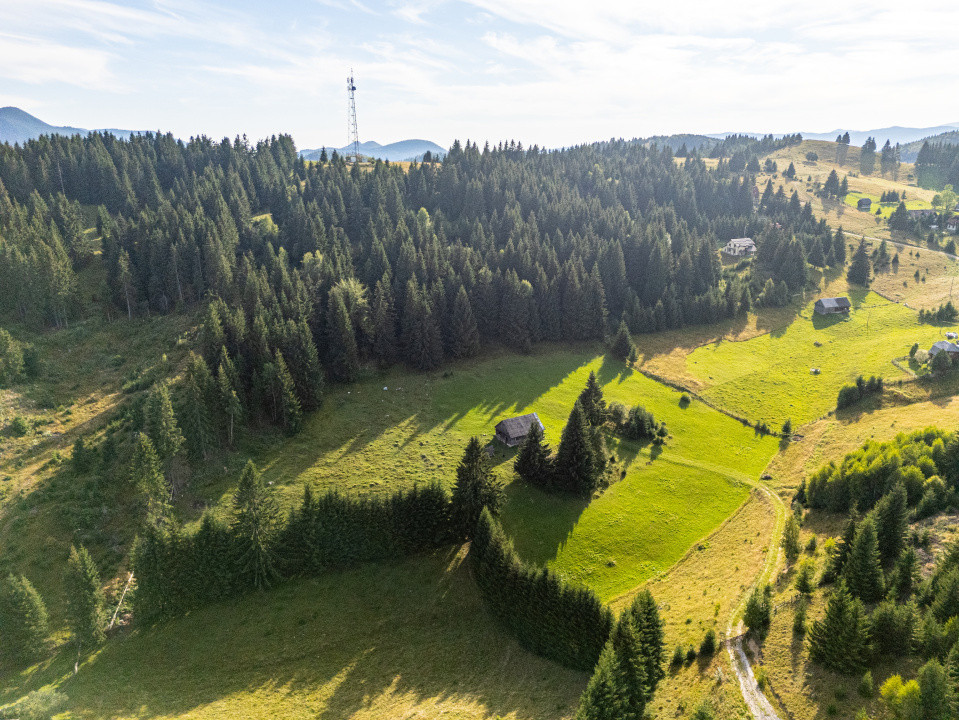 Teren de vânzare, Fundata, Brașov – view superb, investitie - COMISION 0%