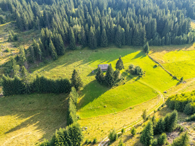 Teren de vânzare, Fundata, Brașov – view superb, investitie - COMISION 0%