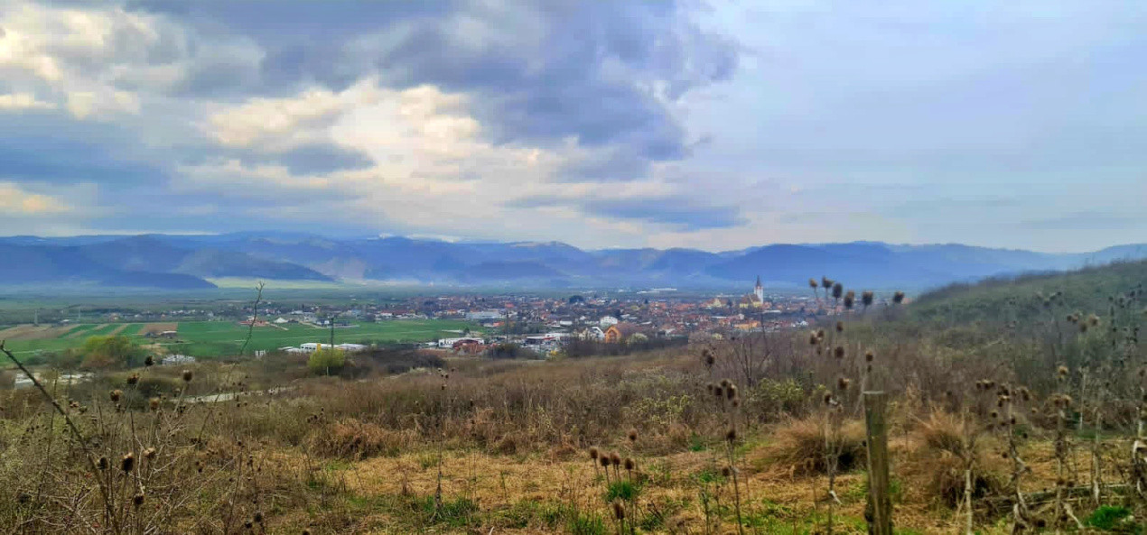 Apartament 3 camere, două băi, curte 50 mp -Natura la tine acasă! Cristian-SiBiU