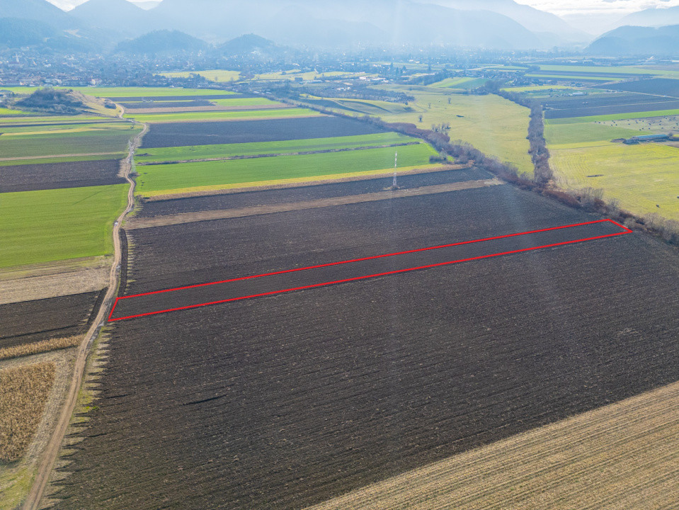 Teren extravilan în Sacele-3500mp, Comision cumparator 0%