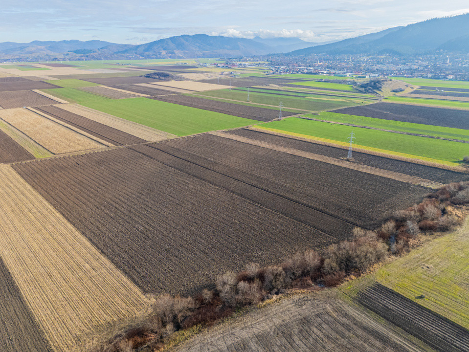 Teren extravilan în Sacele-3500mp, Comision cumparator 0%