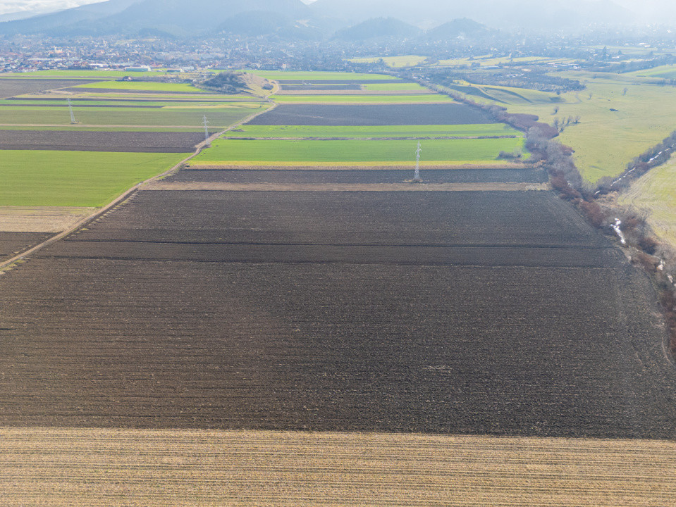 Teren extravilan în Sacele-3500mp, Comision cumparator 0%