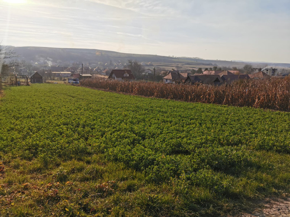 Teren intravilan 1152 mp acces la 2 drumuri ideal pt casa Rusi-Slimnic Sibiu