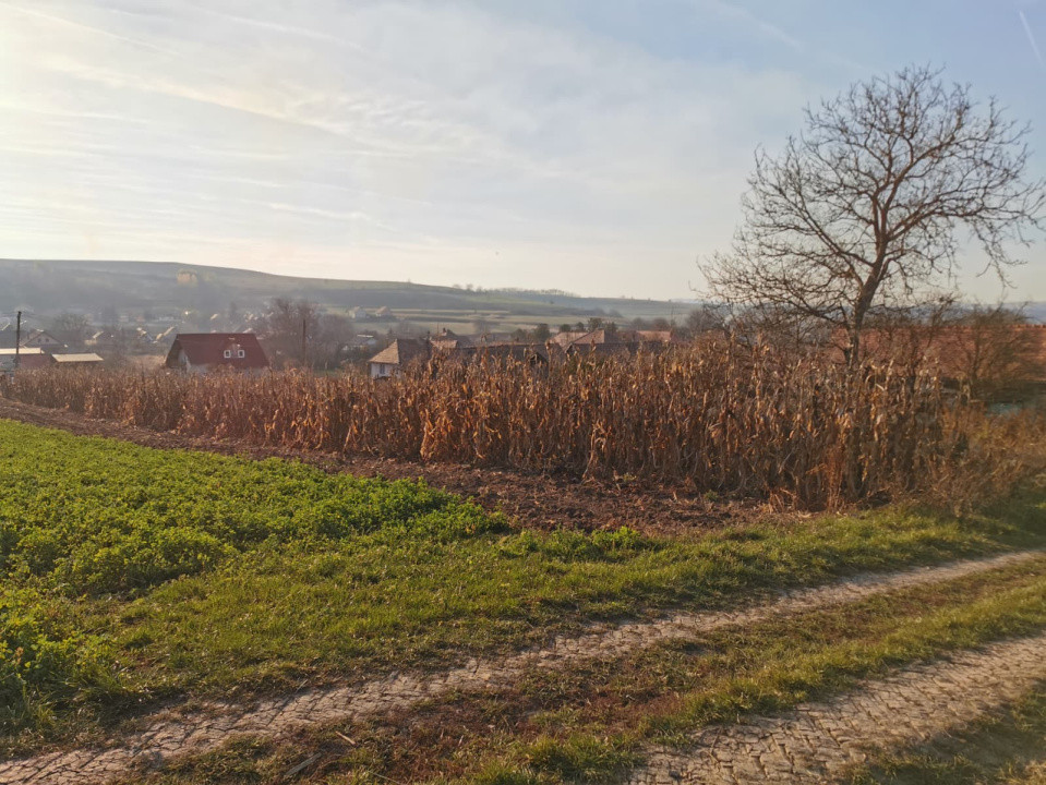 Teren intravilan 1152 mp acces la 2 drumuri ideal pt casa Rusi-Slimnic Sibiu