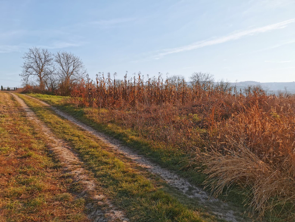 Teren intravilan 1152 mp acces la 2 drumuri ideal pt casa Rusi-Slimnic Sibiu