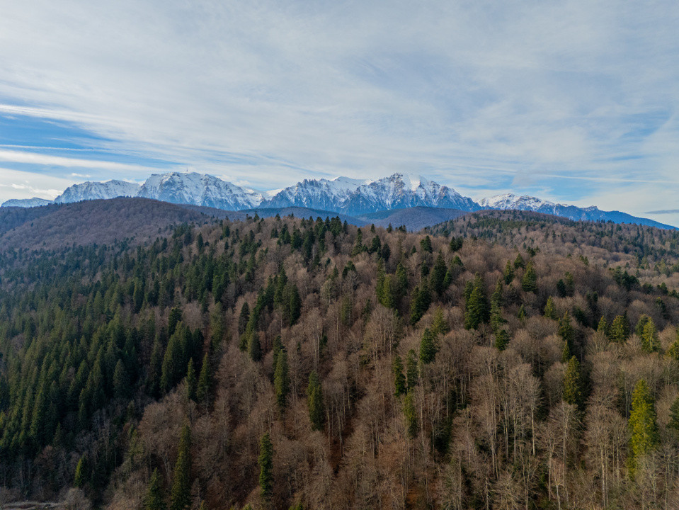 Oportunitate de investiție în Predeal