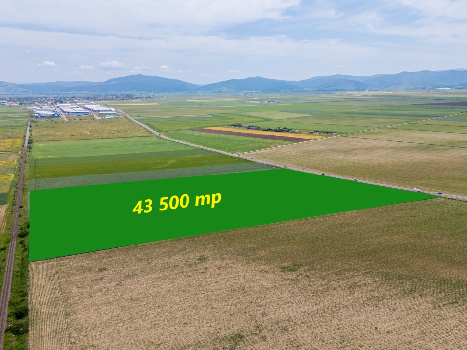 Teren de vanzare I 43 500 mp I Deschidere la drum - Harman
