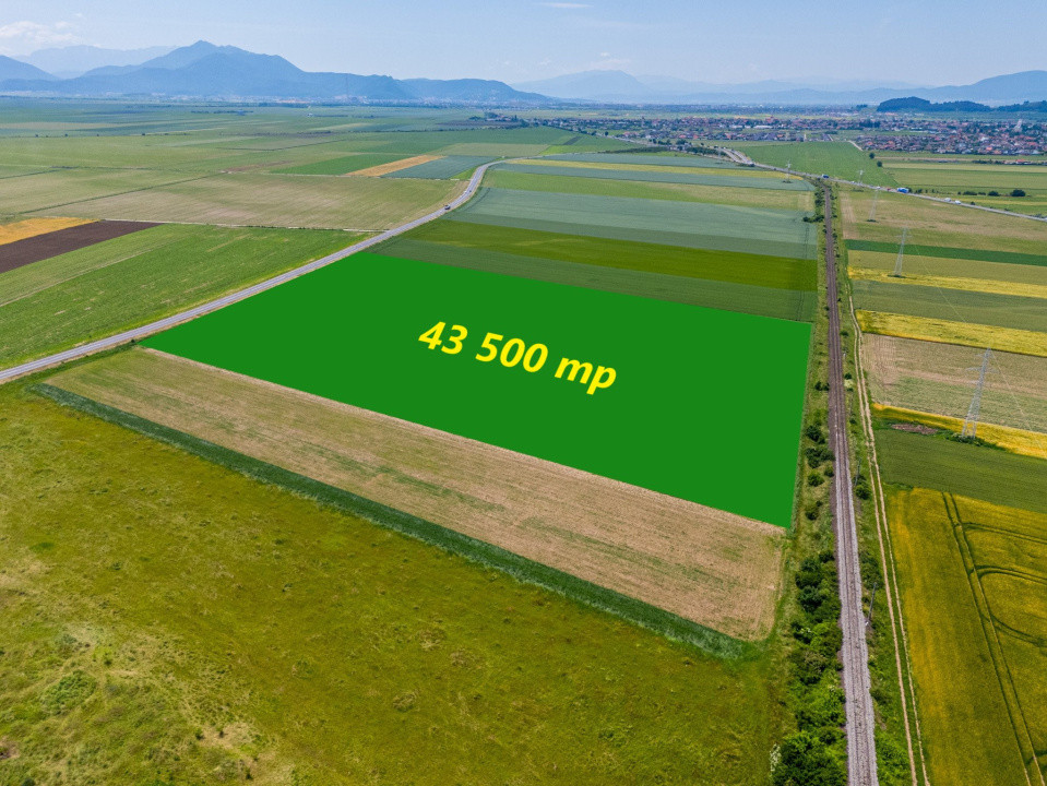 Teren de vanzare I 43 500 mp I Deschidere la drum - Harman