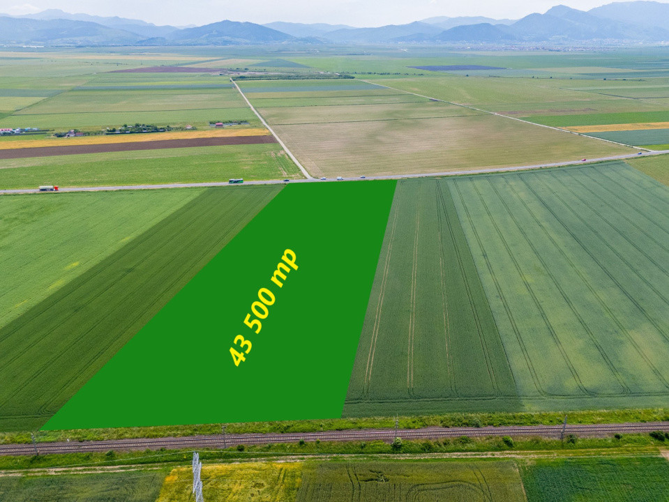 Teren de vanzare I 43 500 mp I Deschidere la drum - Harman