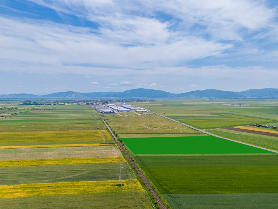 Teren de vanzare I 43 500 mp I Deschidere la drum - Harman