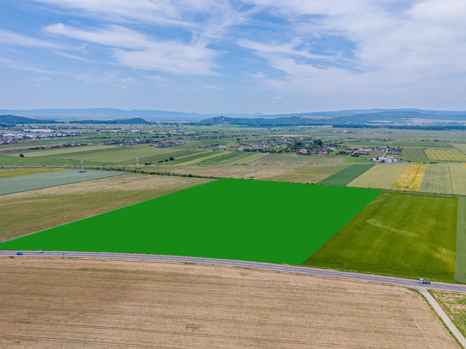 Teren de vanzare I 43 500 mp I Deschidere la drum - Harman