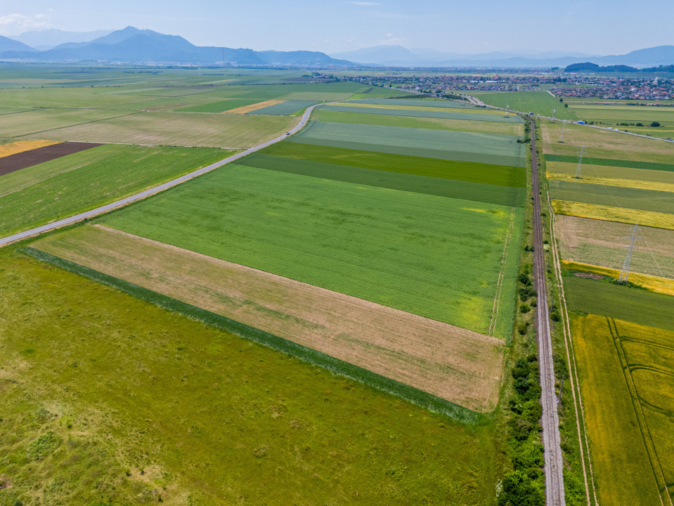 Teren de vanzare I 43 500 mp I Deschidere la drum - Harman