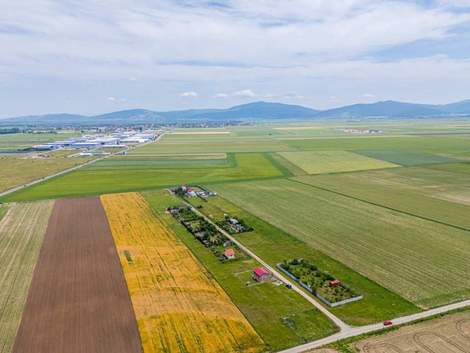 Teren de vanzare I 43 500 mp I Deschidere la drum - Harman