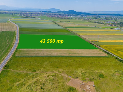 Teren de vanzare I 43 500 mp I Deschidere la drum - Harman