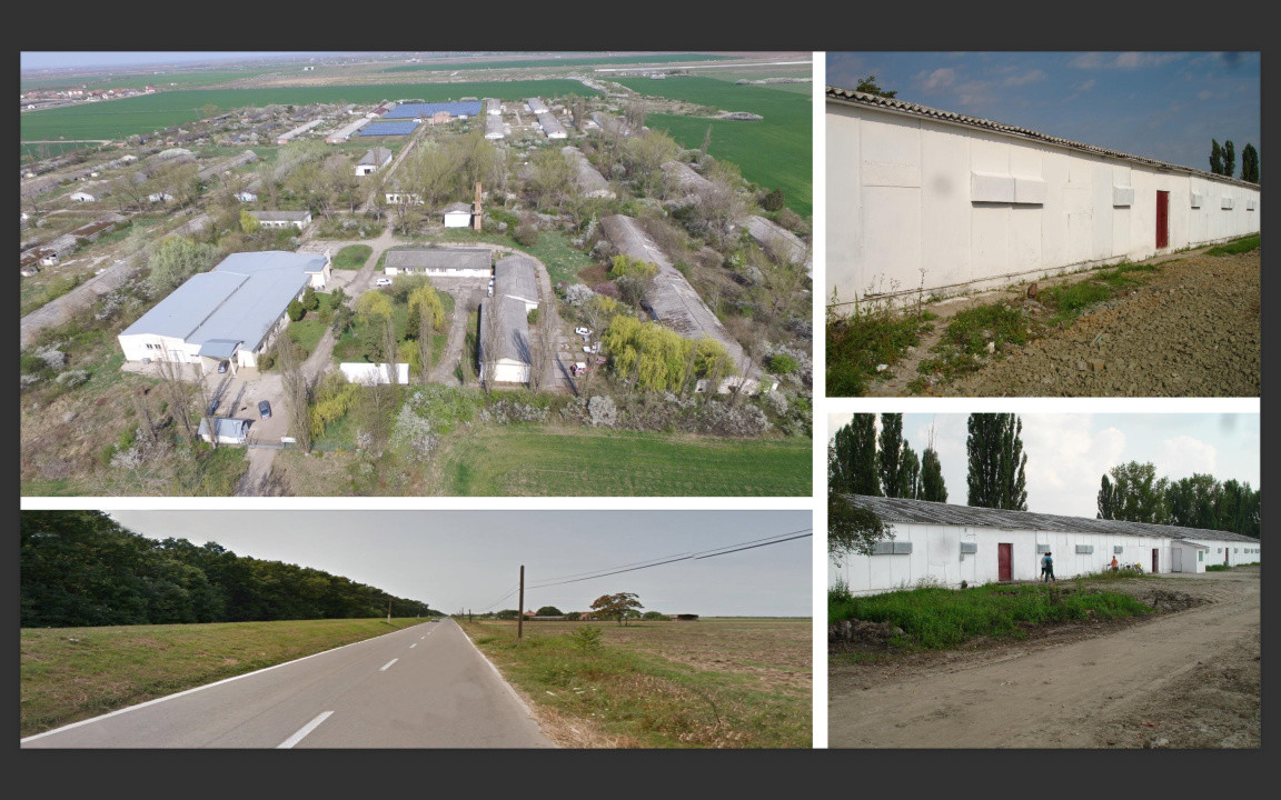 18 Ha intravilan in orasul Arad - langa aeroport