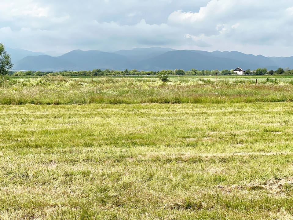 Casă 4 cam.+ teren de vânzare în Cartierul Turnișor, Zonă Exclusivistă