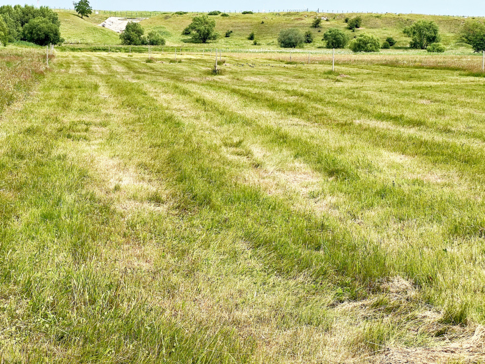 Casă 4 cam.+ teren de vânzare în Cartierul Turnișor, Zonă Exclusivistă