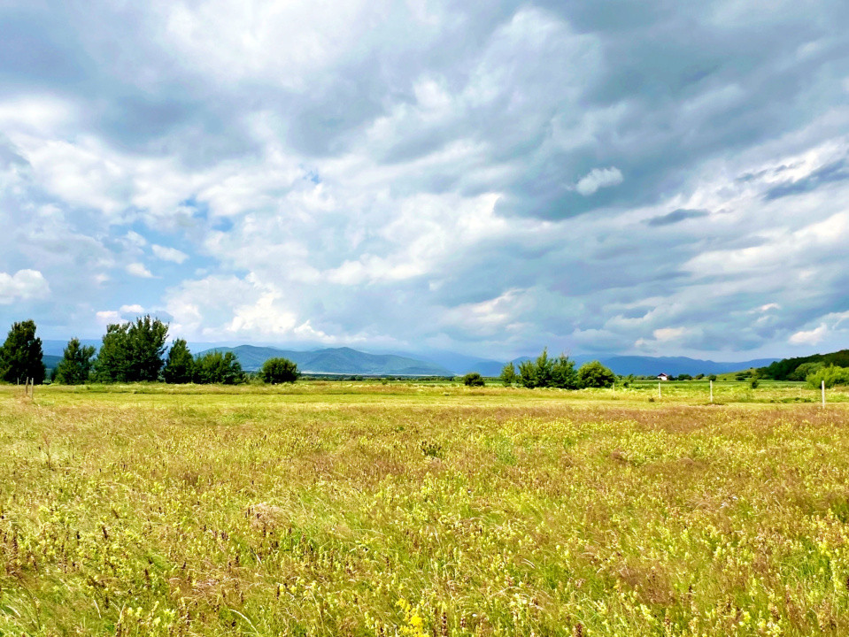Casă 4 cam.+ teren de vânzare în Cartierul Turnișor, Zonă Exclusivistă