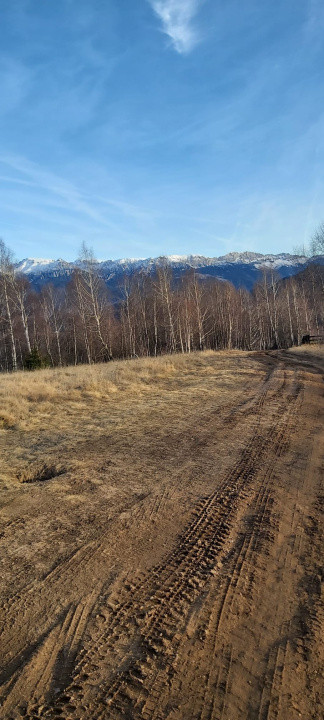 Teren de vanzare Sirnea- Comision 0%