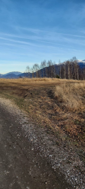 Teren de vanzare Sirnea- Comision 0%