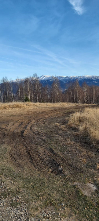 Teren de vanzare Sirnea- Comision 0%