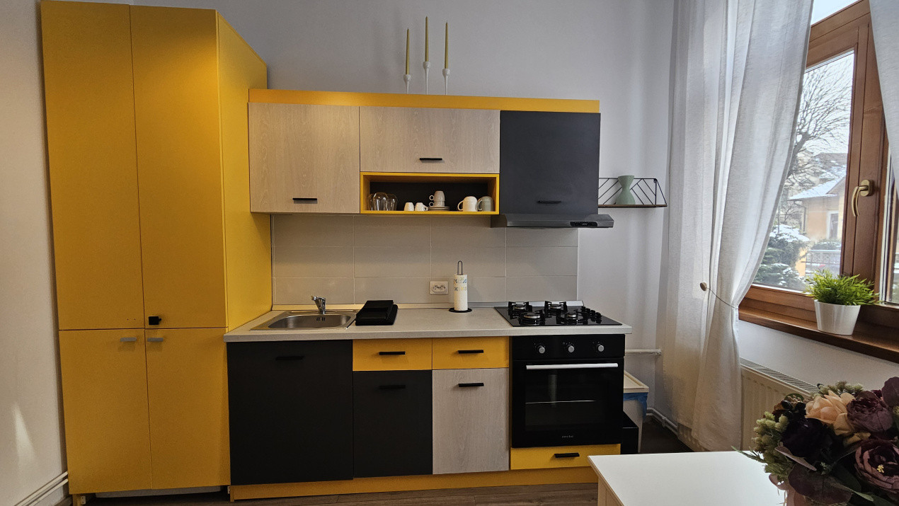 Apartament 1 cameră la casă ultracentral cu pivniță Constantin Noica Sibiu