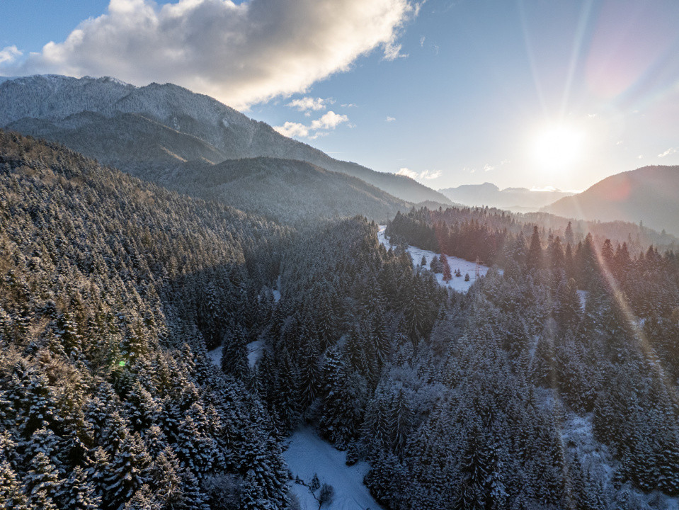 Teren pentru turism / complex vile la intrare în CANIONUL ȘAPTE SCĂRI