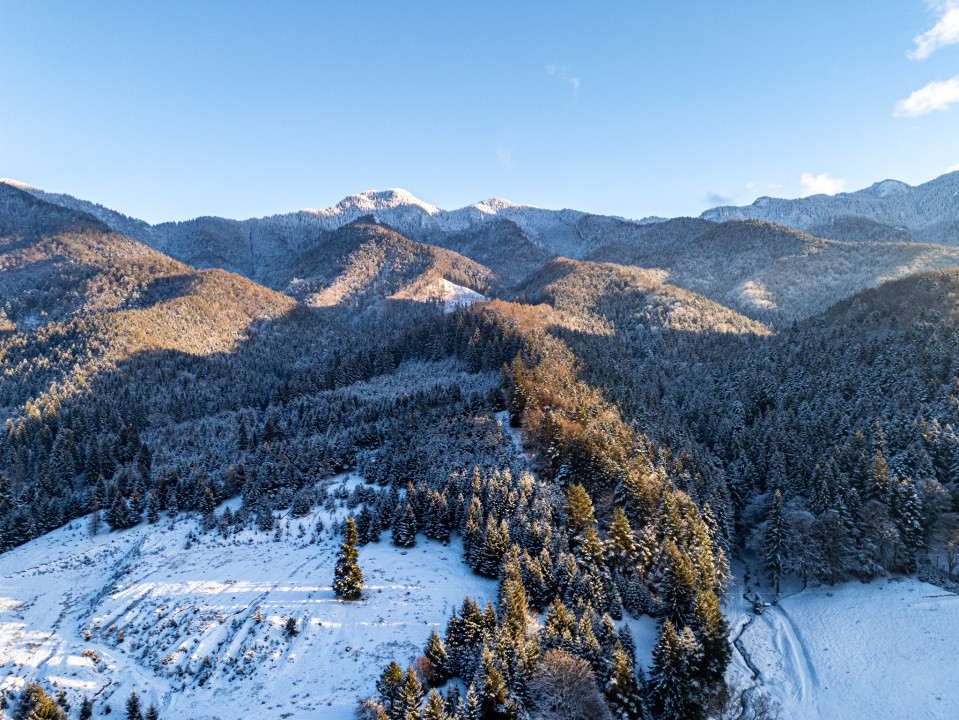 Teren pentru turism / complex vile la intrare în CANIONUL ȘAPTE SCĂRI