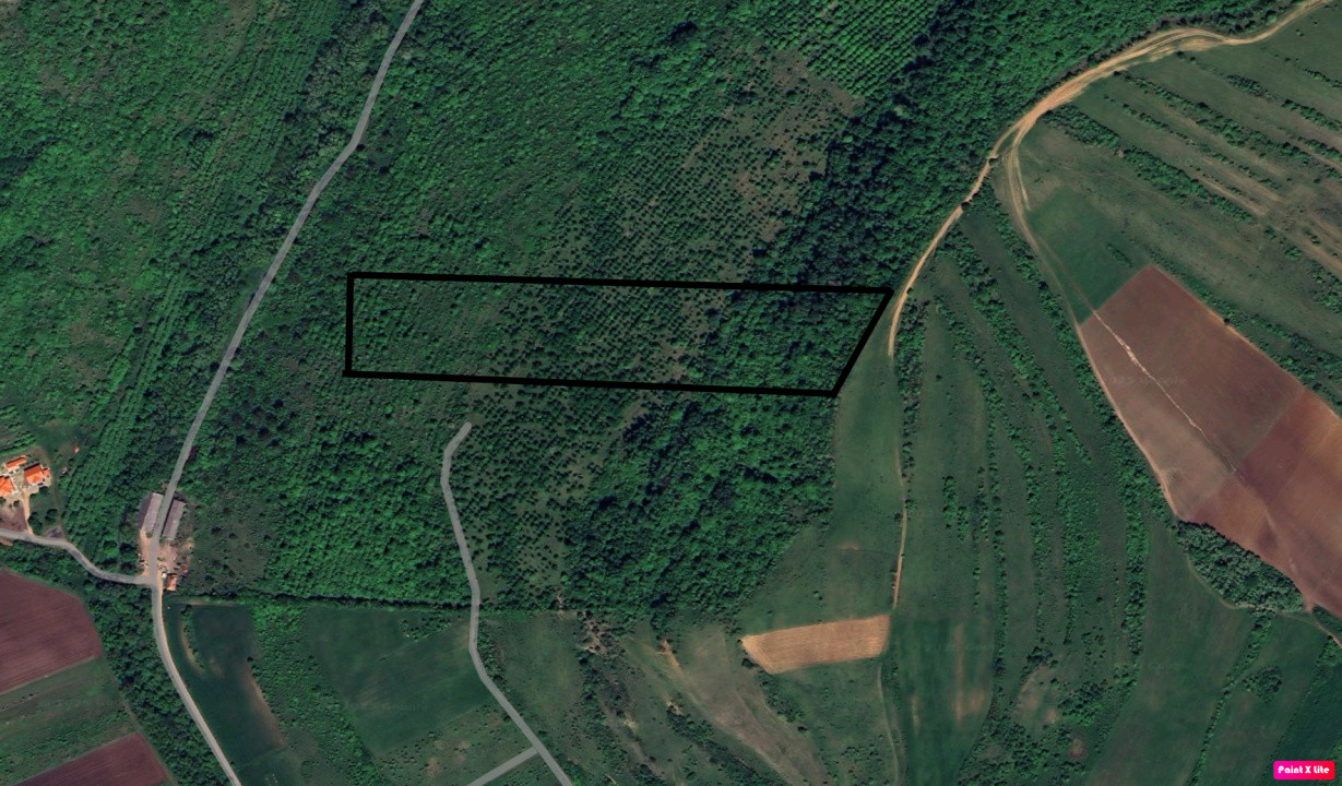 Teren Extravilan de vânzare, Hamba (Sibiu), 38.400 mp (3,84 ha), Pret competitiv