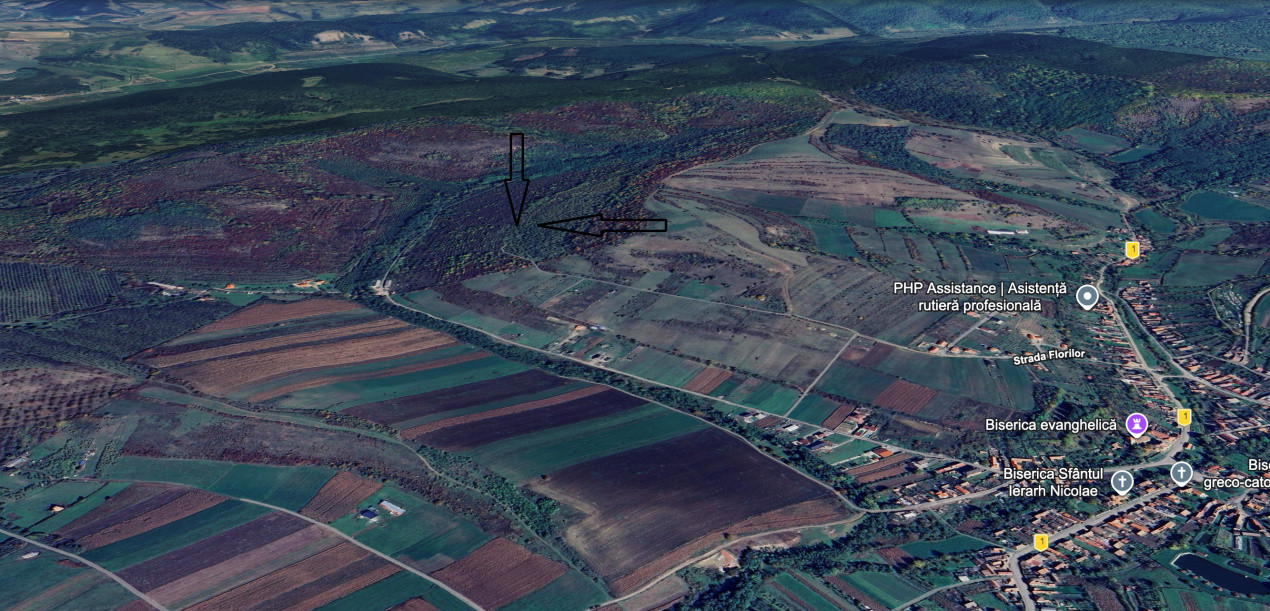 Teren Extravilan de vânzare, Hamba (Sibiu), 38.400 mp (3,84 ha), Pret competitiv