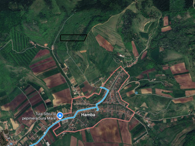 Teren Extravilan de vânzare, Hamba (Sibiu), 38.400 mp (3,84 ha), Pret competitiv