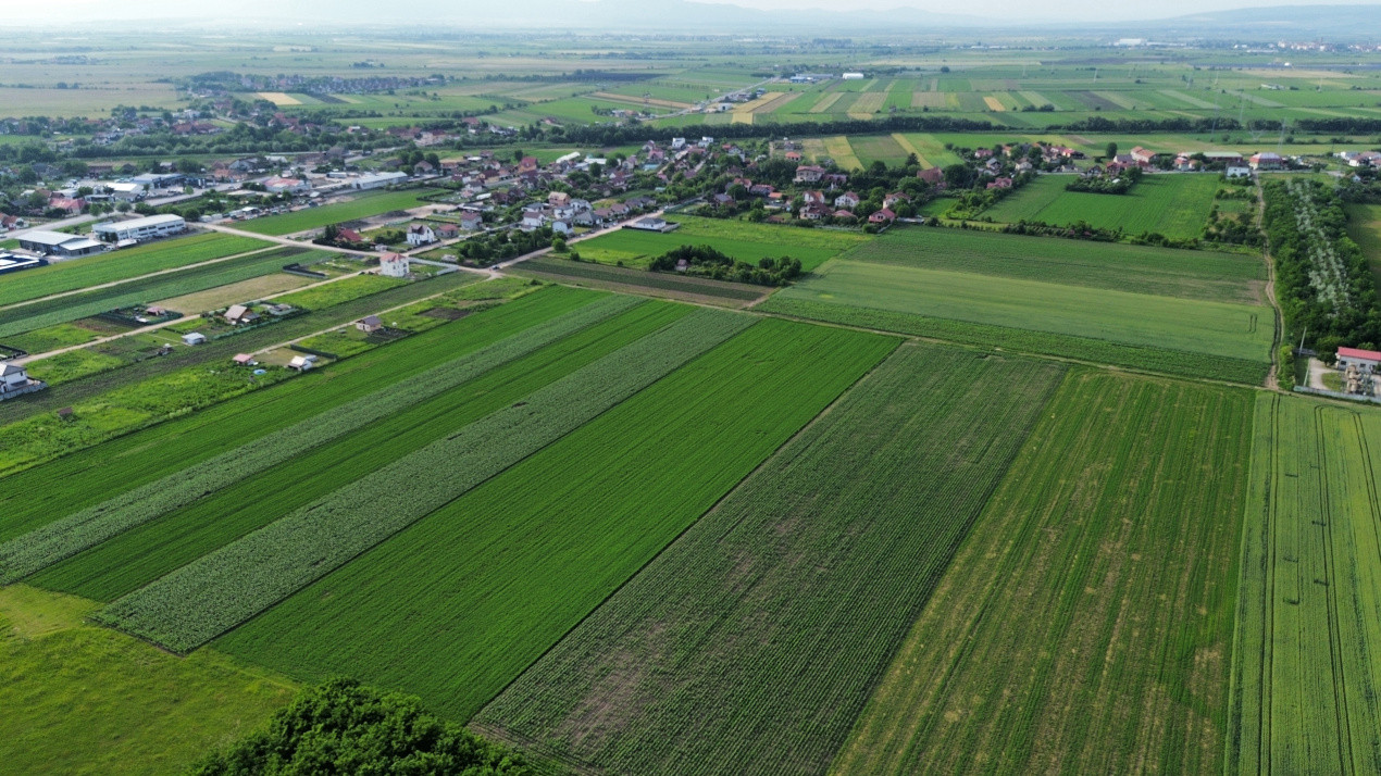 Teren intravilan 34.640 mp Stupini, str. Baciului-Luncii