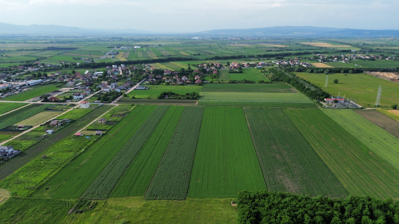 Teren intravilan 34.640 mp Stupini, str. Baciului-Luncii