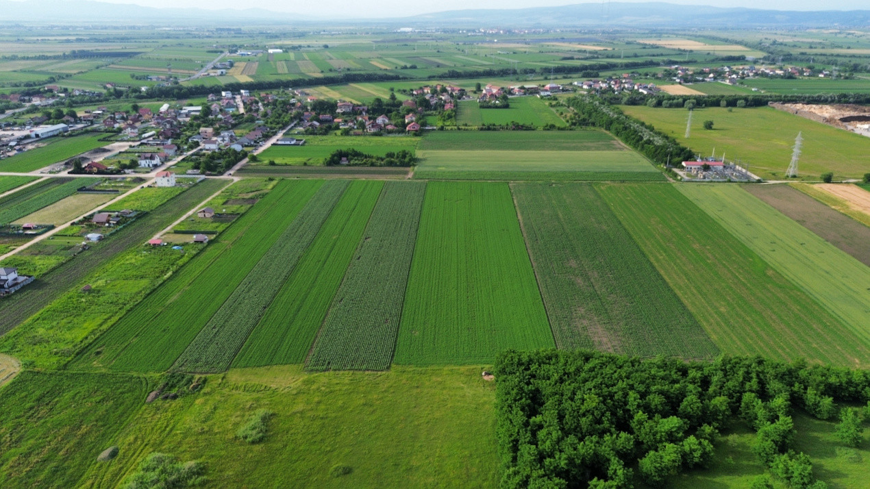 Teren intravilan 34.640 mp Stupini, str. Baciului-Luncii