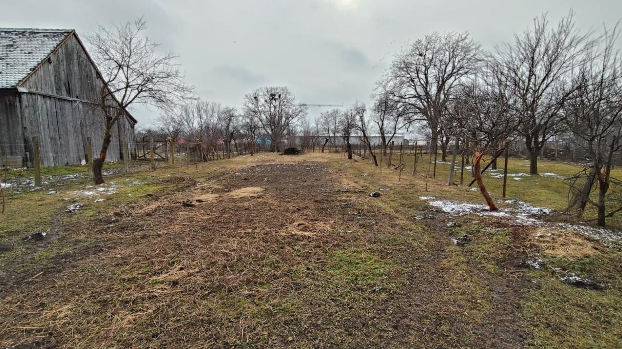 Casa saseasca de  vanzare in Cristian 