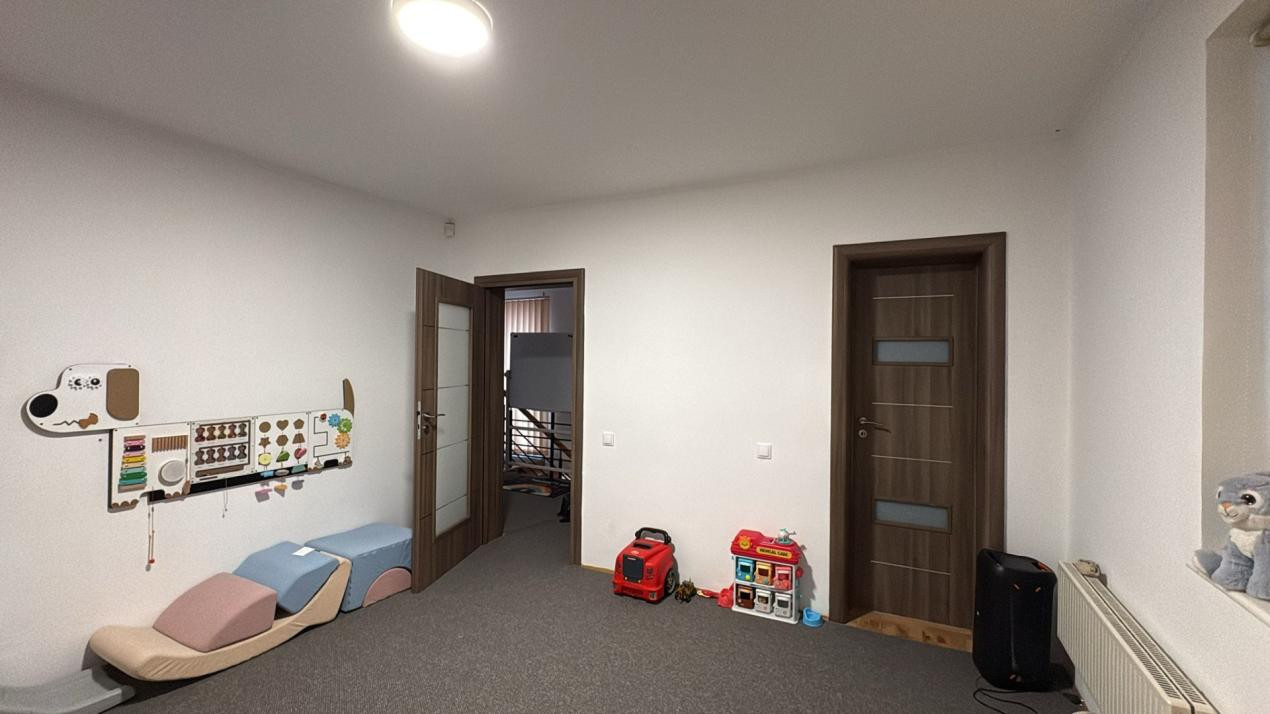 Casă Individuală str. Jan Hus – Firma sau Rezidențial