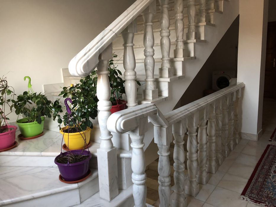 Casă de Lux lângă Grădina Botanică