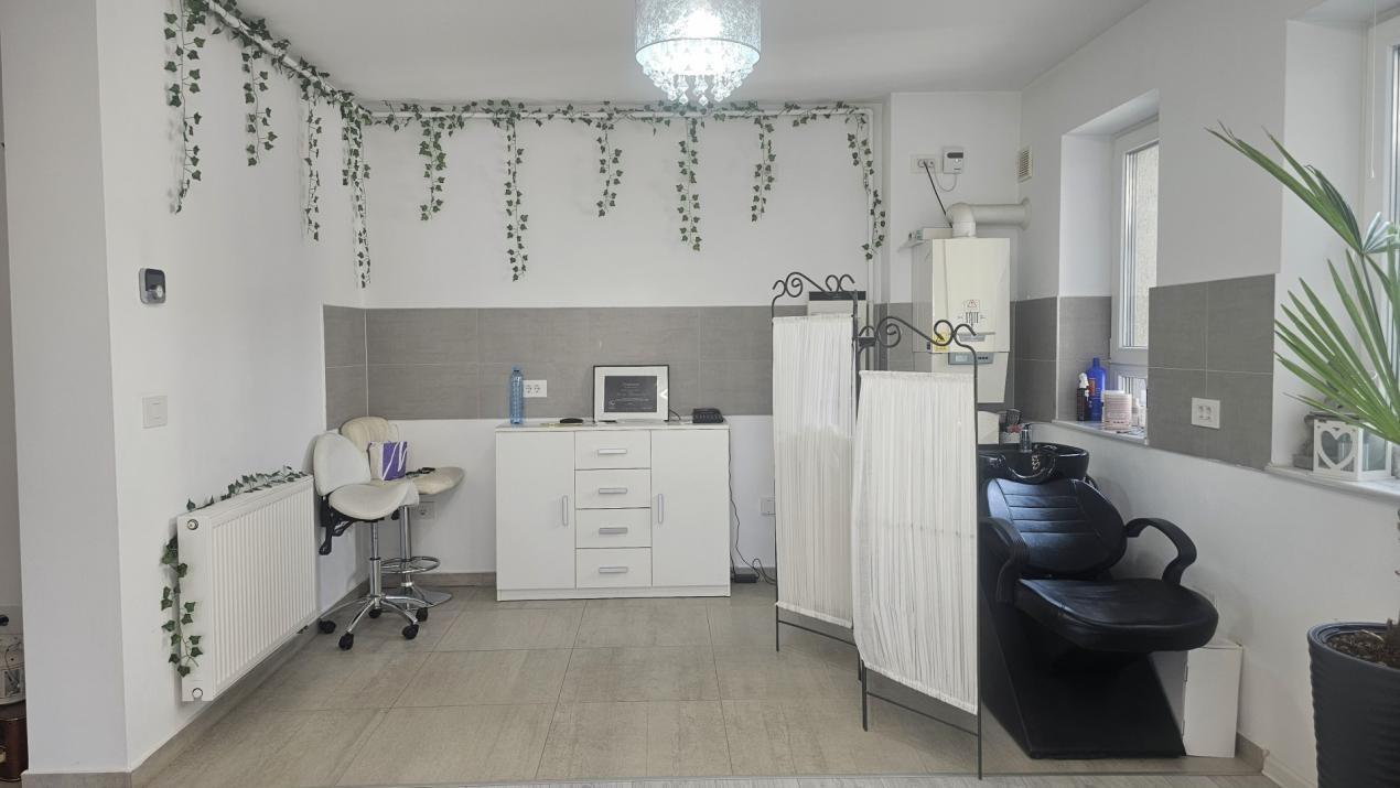 Studio nemobilat - pretabil birou sau locuință - Kasper Coresi