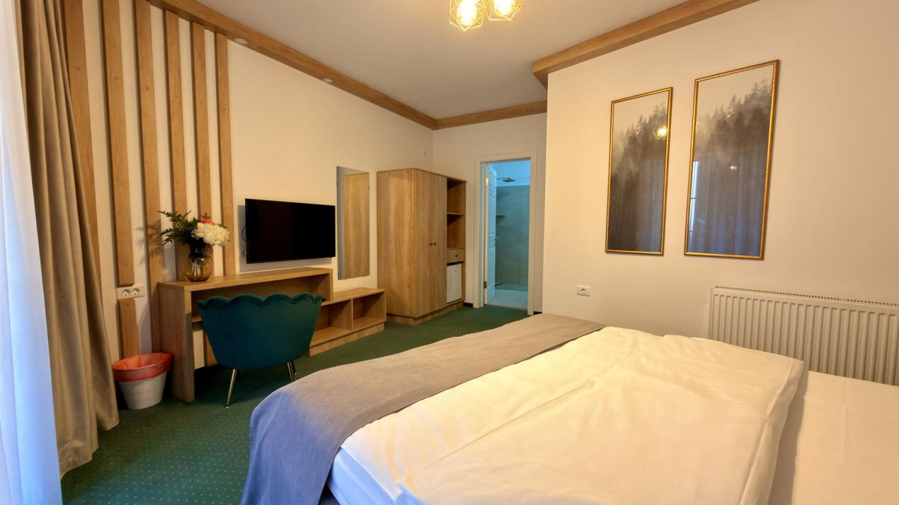 Pensiune de vanzare - Sugag Transalpina