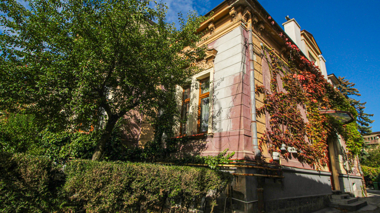 Proprietate deosebita, farmec si noblete - Strada Lunga 84
