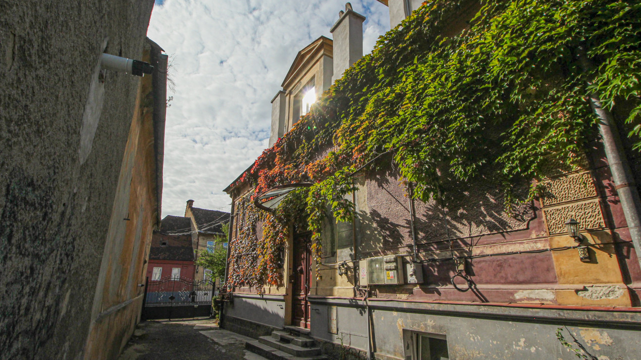 Proprietate deosebita, farmec si noblete - Strada Lunga 84