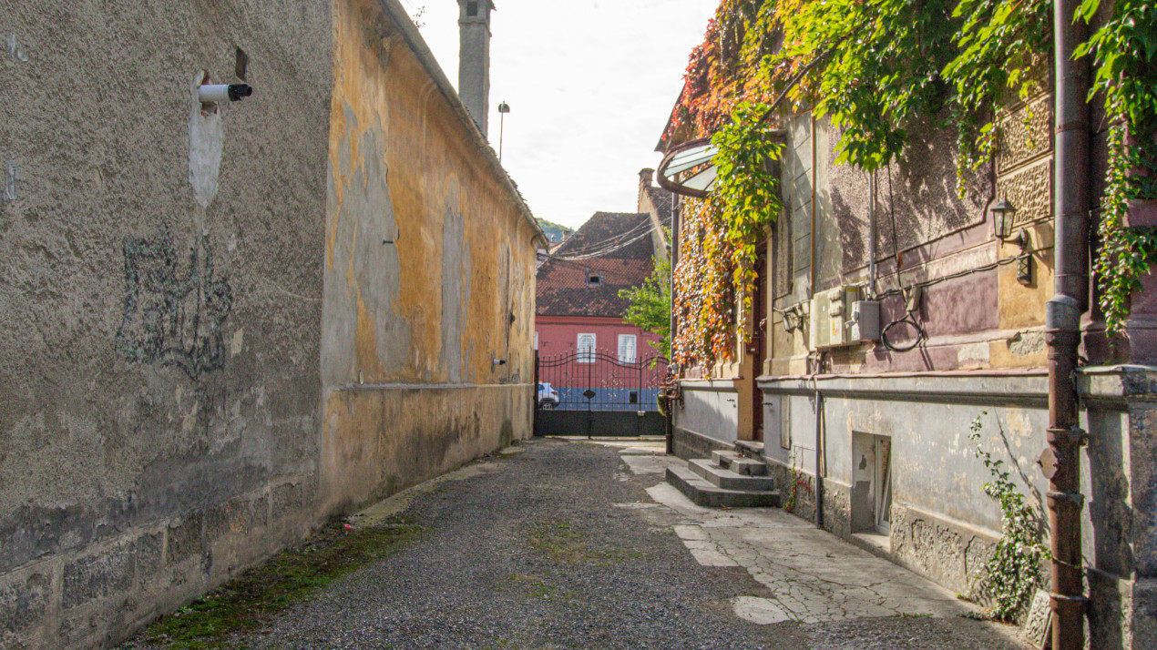 Proprietate deosebita, farmec si noblete - Strada Lunga 84