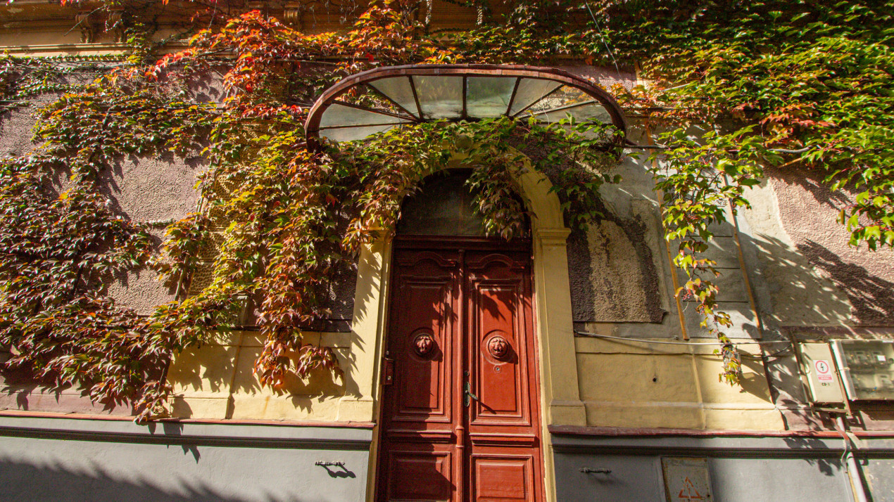 Proprietate deosebita, farmec si noblete - Strada Lunga 84