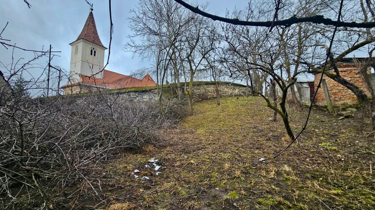 Tradiție și potențial: casă cu șură, utilități complete, Turnu Roșu